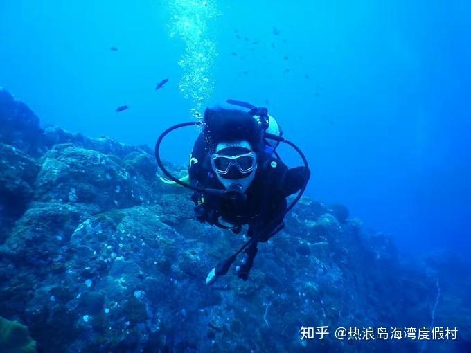 恐龙绝地逃生